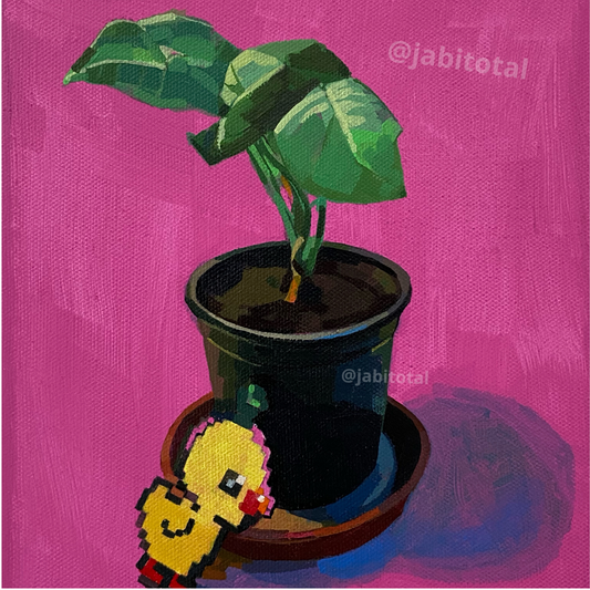 Plantita posera
