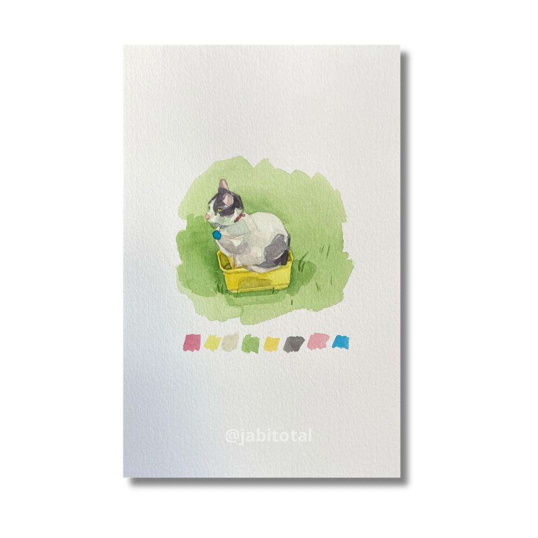 Práctica de gatito en casata de helado