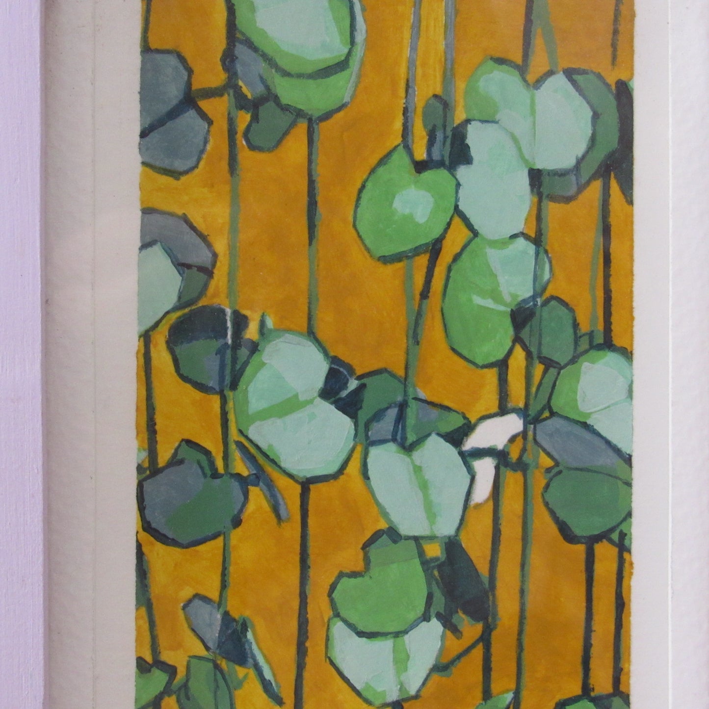 Ceropegia