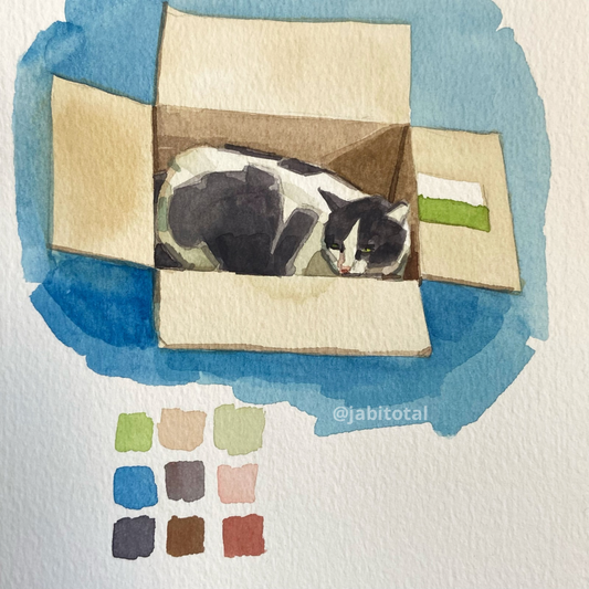 Práctica de gatito en una caja