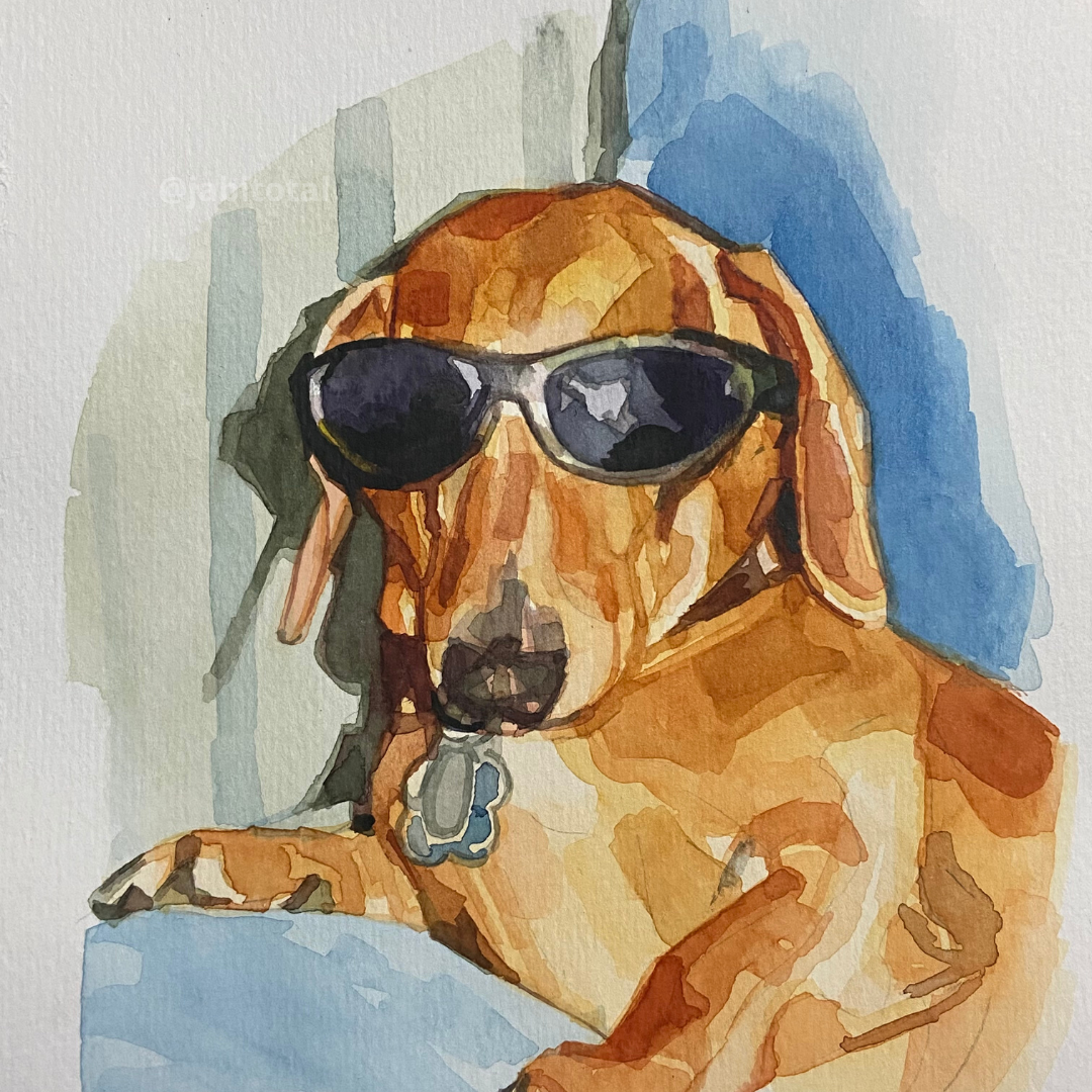Perrito facherito