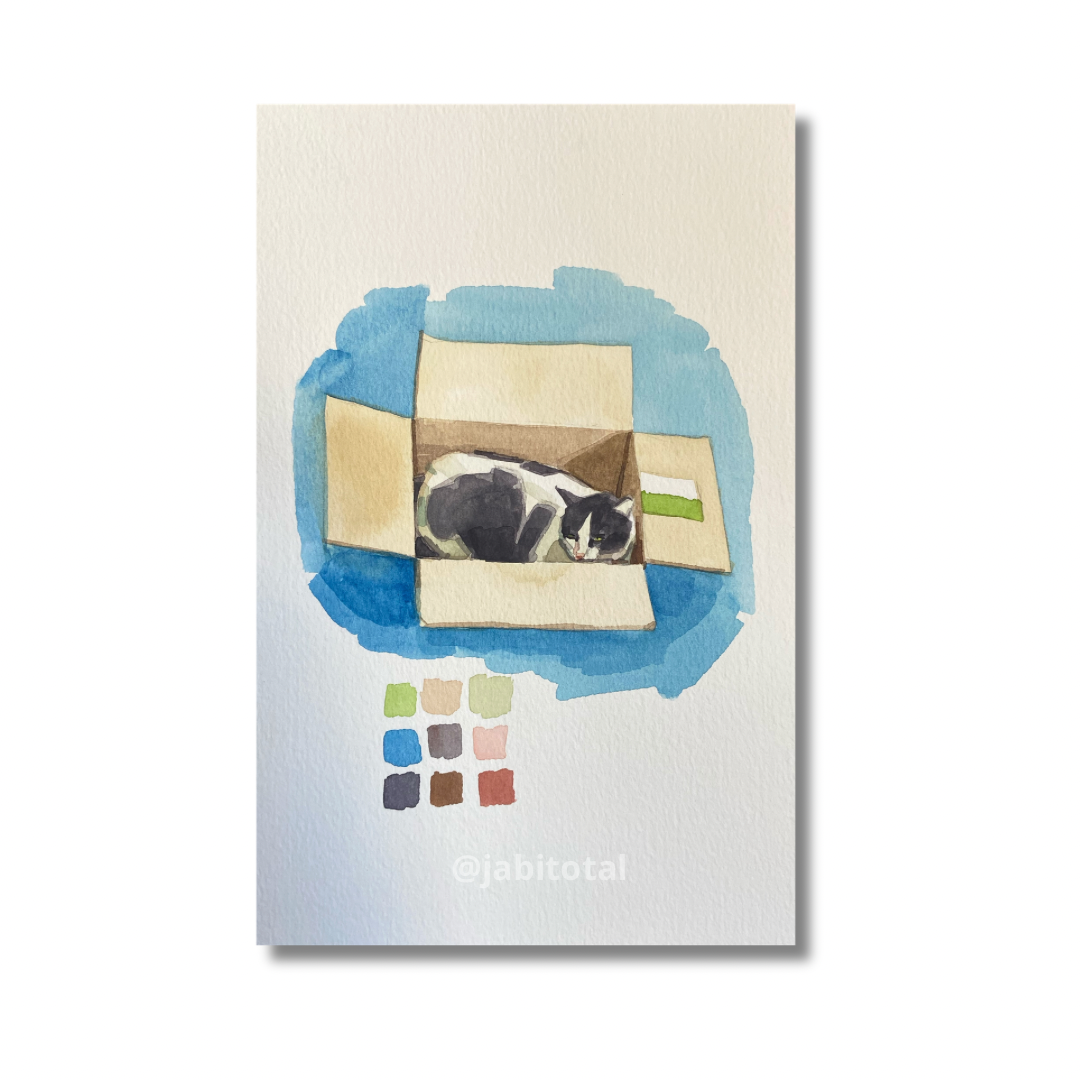 Práctica de gatito en una caja