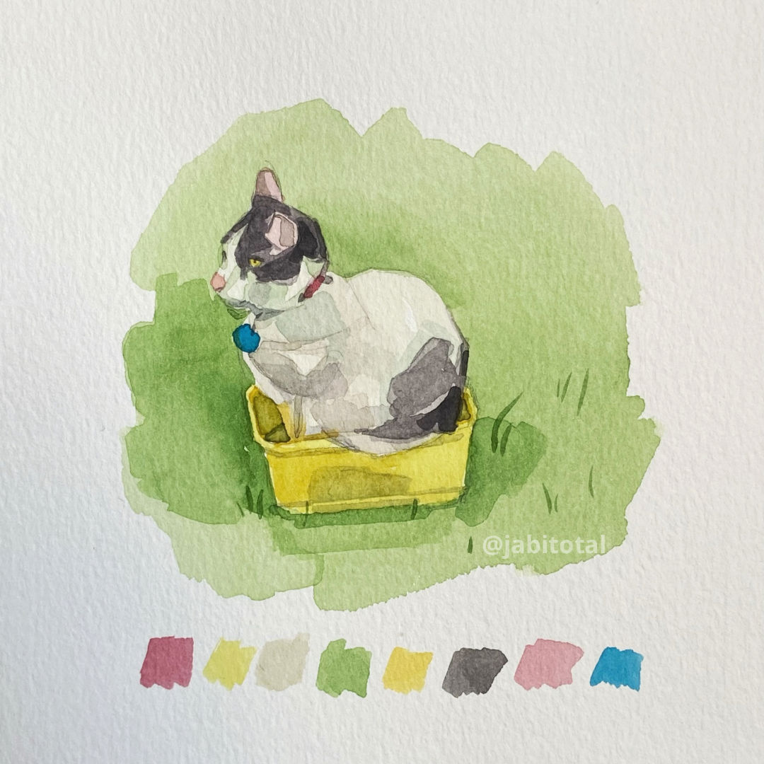 Práctica de gatito en casata de helado