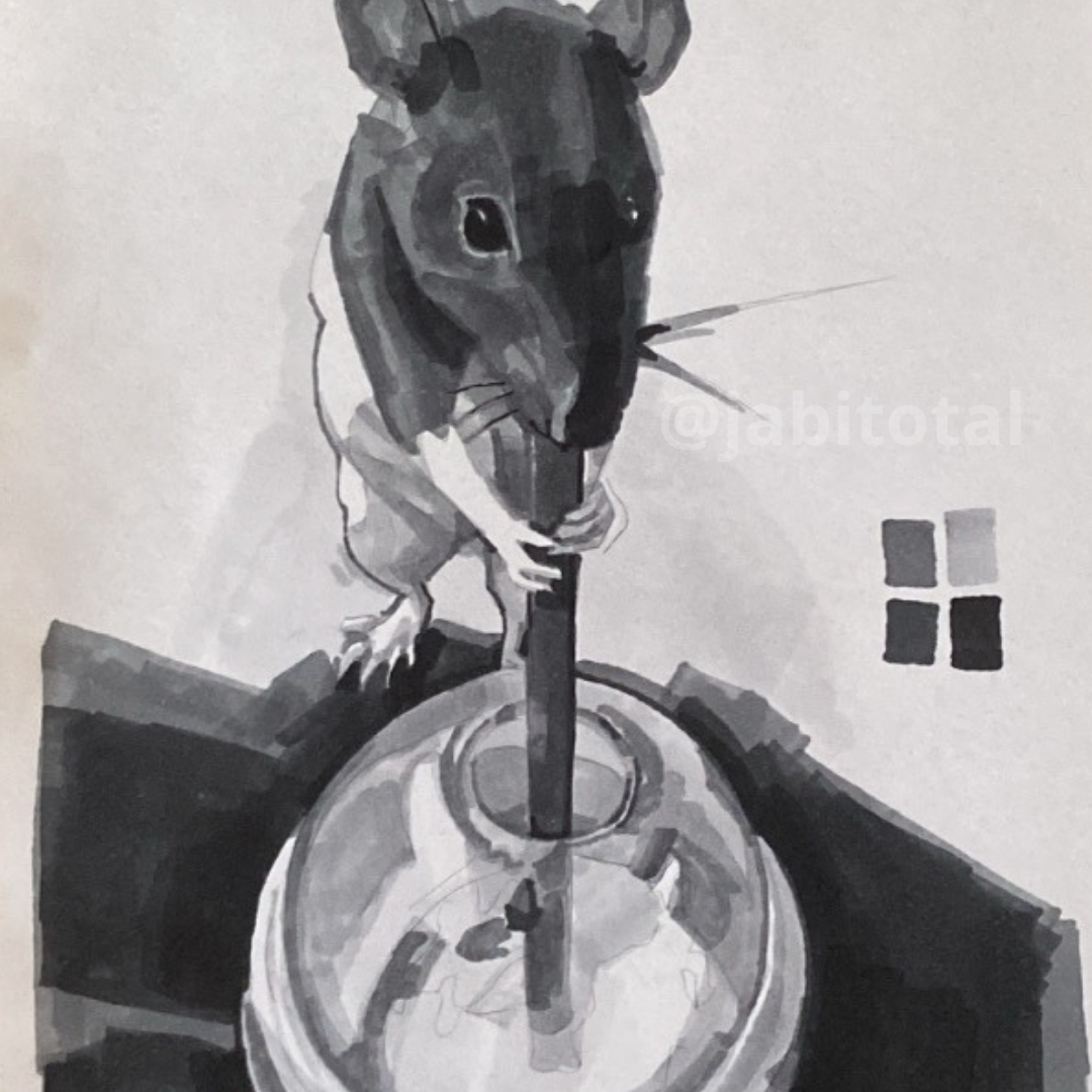 Ratita